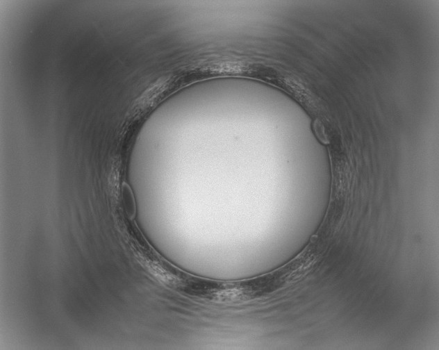 X0000054390309200508191946