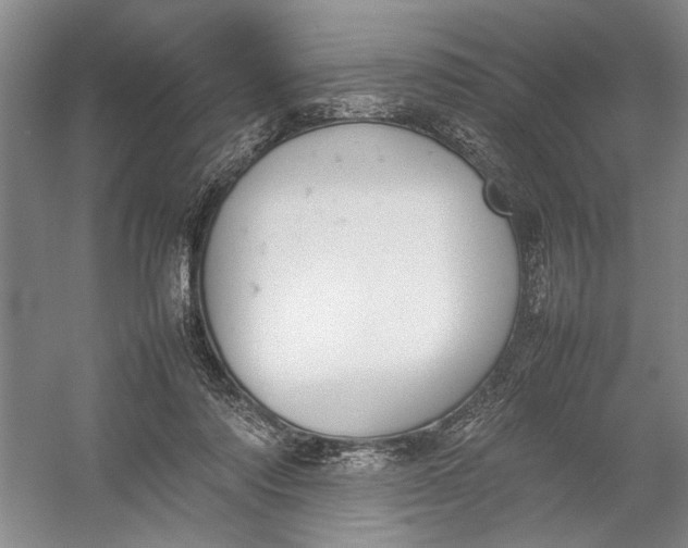 X0000054390310200508191946
