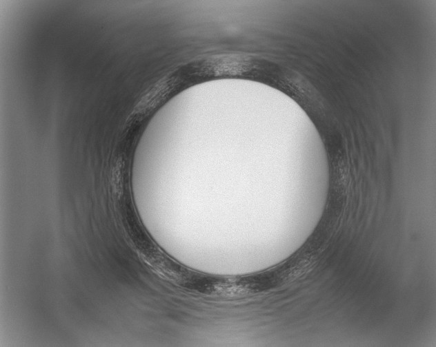 X0000054390311200508191946