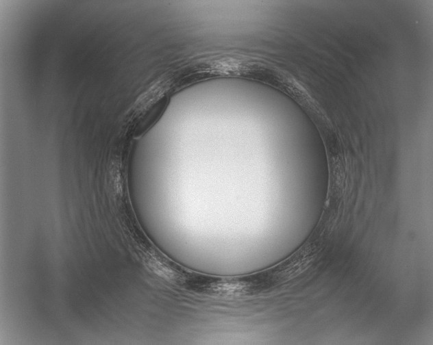 X0000054390313200508191946