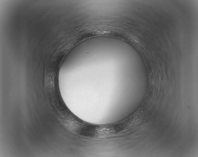 X0000054390315200508191946