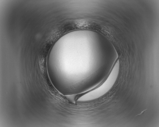 X0000054390319200508191945