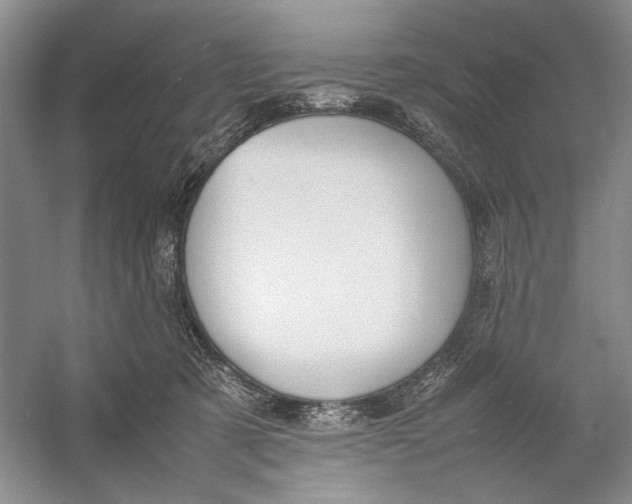 X0000054390321200508191945