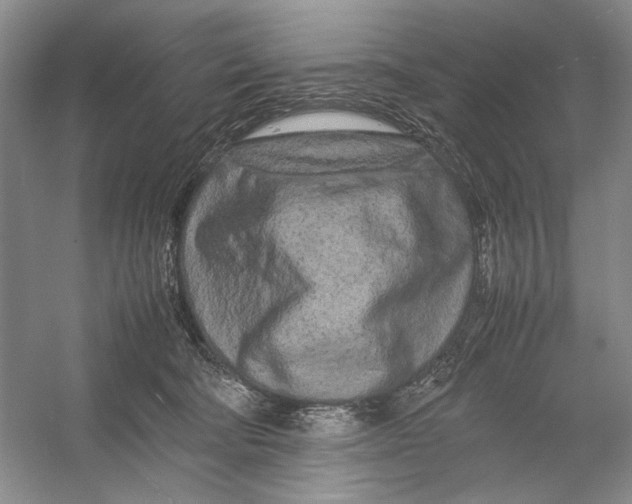 X0000054390322200508191945