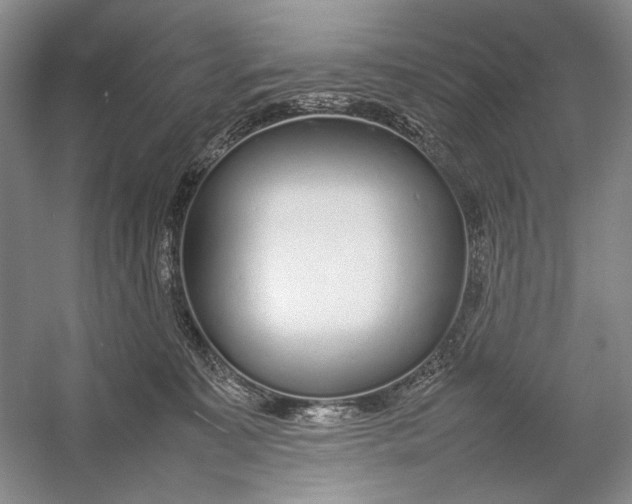 X0000054390323200508191945