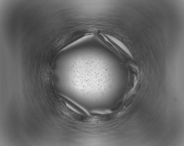 X0000054390325200508191945