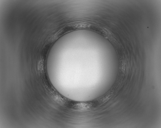X0000054390326200508191945