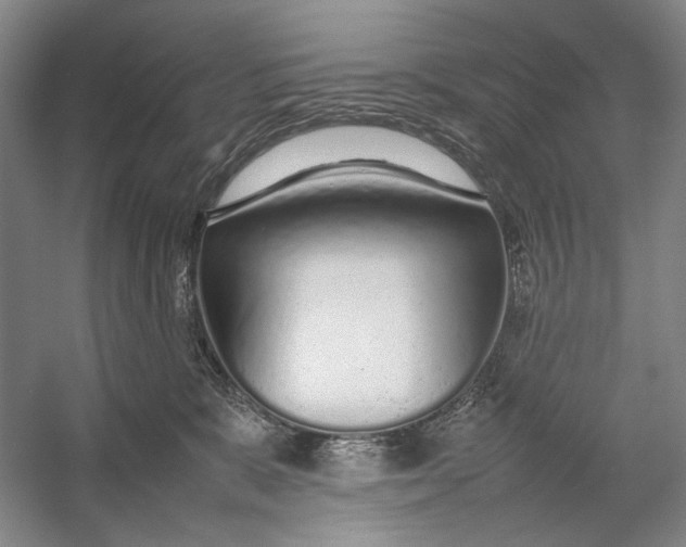 X0000054390327200508191945