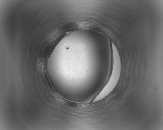 X0000054390329200508191945