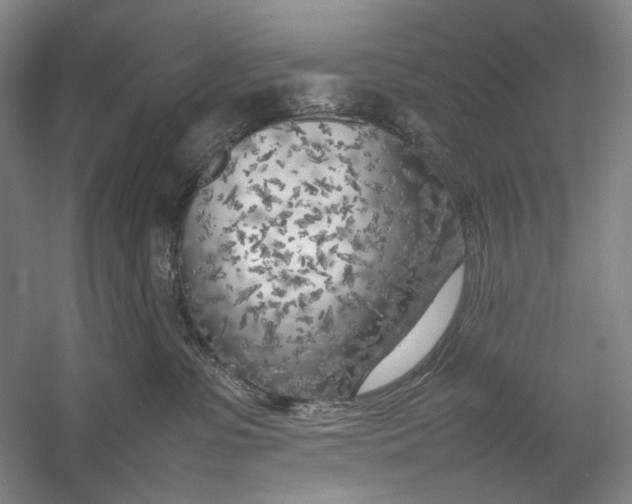 X0000054390331200508191945