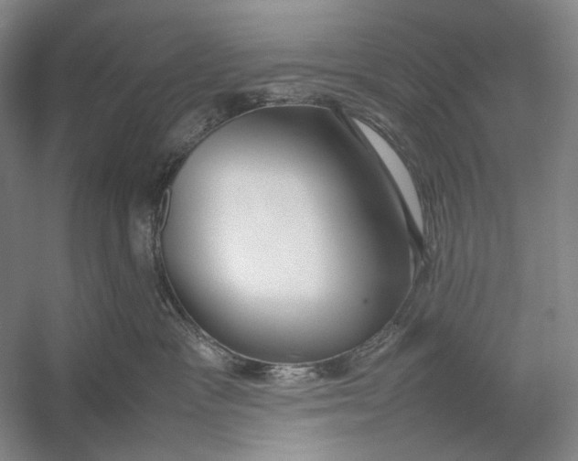X0000054390333200508191945