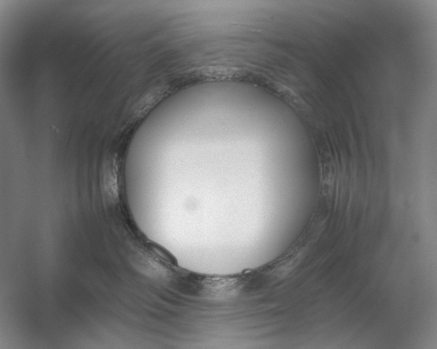 X0000054390334200508191945