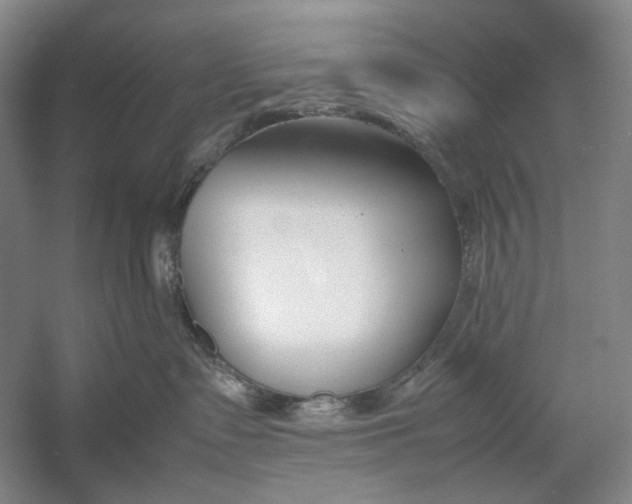 X0000054390335200508191945