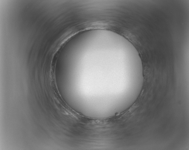 X0000054390338200508191944
