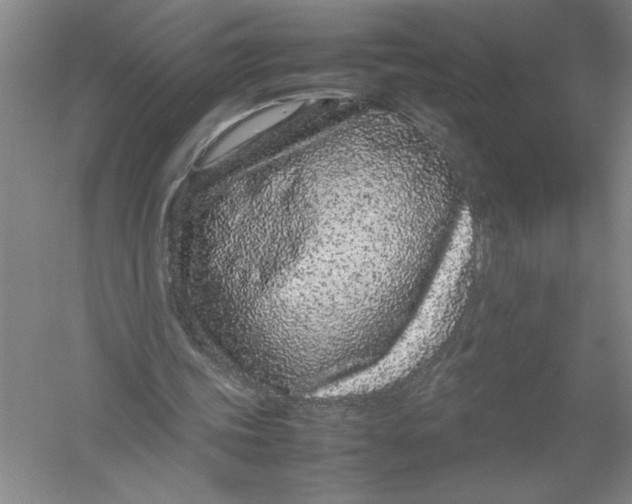 X0000054390339200508191944