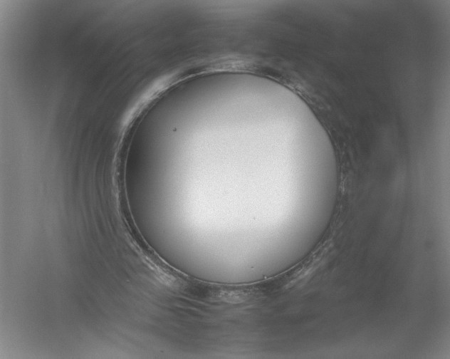 X0000054390341200508191944