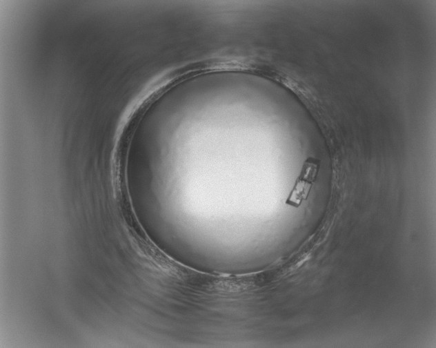X0000054390343200508191944