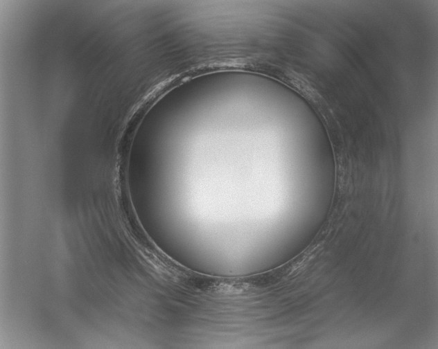 X0000054390346200508191945
