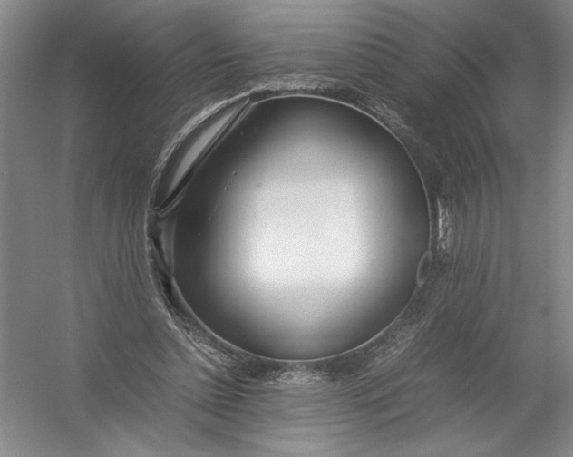 X0000054390348200508191945