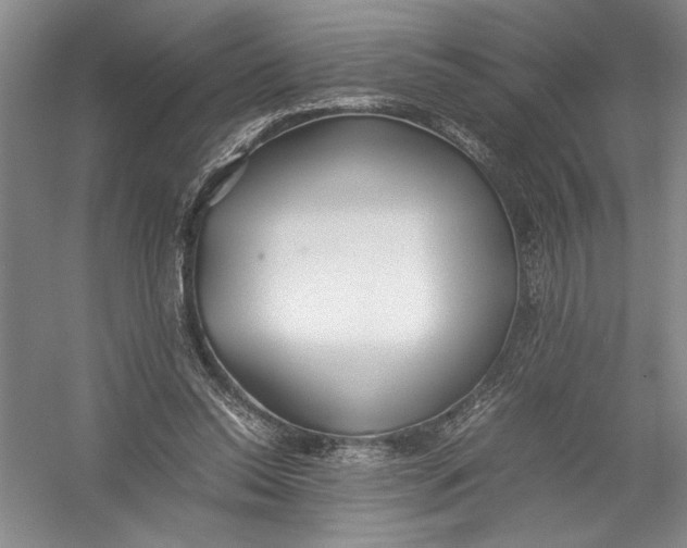 X0000054390350200508191945