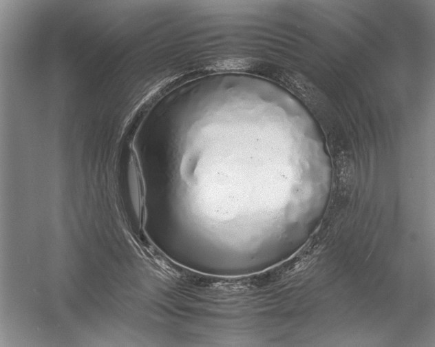 X0000054390351200508191945