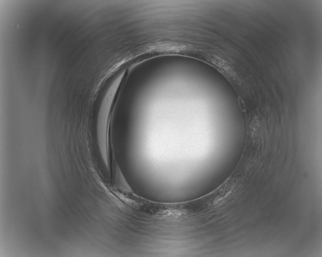 X0000054390352200508191945