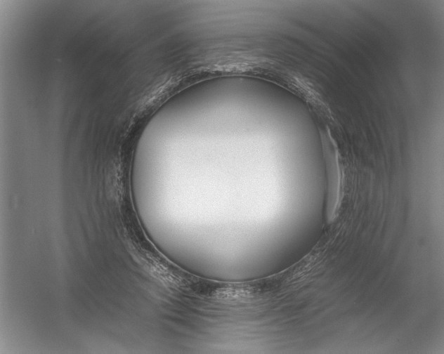 X0000054390354200508191945