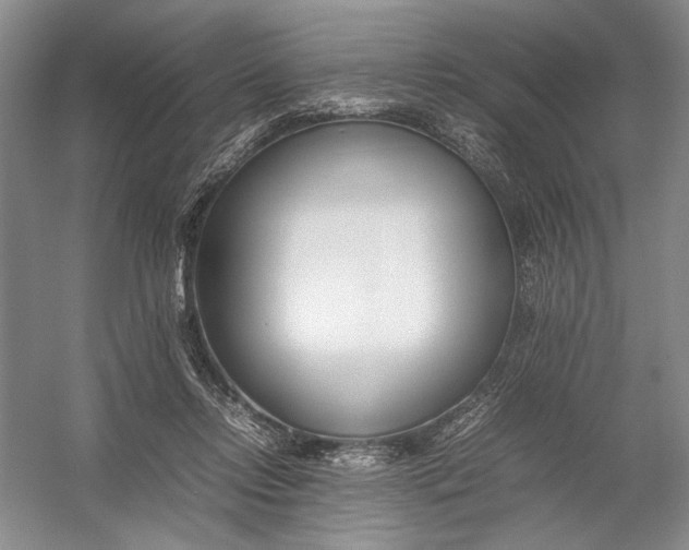 X0000054390358200508191945