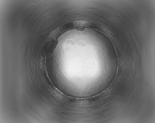 X0000054390361200508191945
