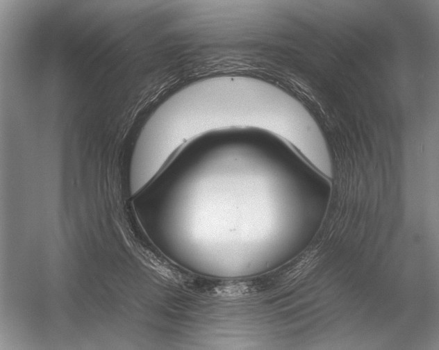 X0000054390362200508191945