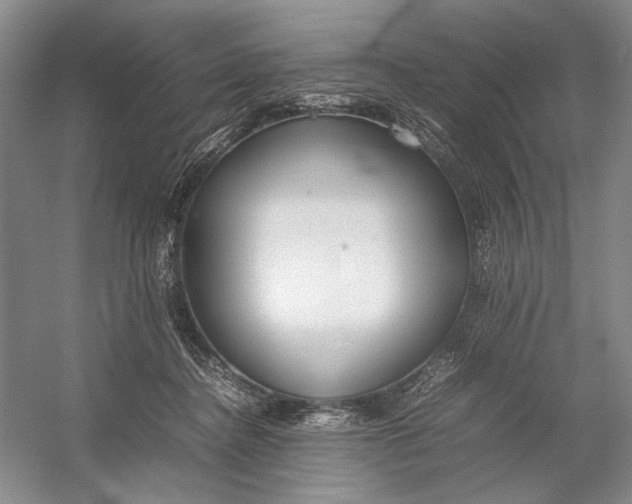 X0000054390364200508191945