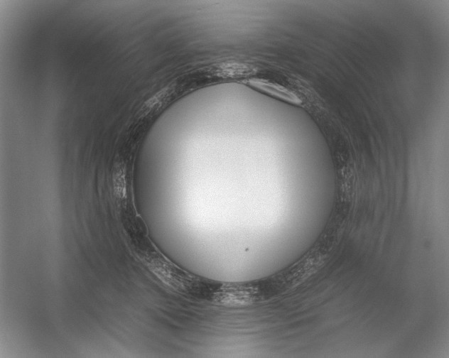 X0000054390368200508191945