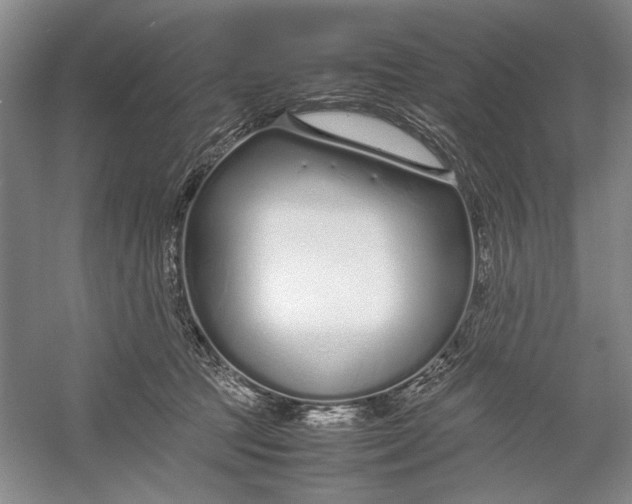 X0000054390369200508191945