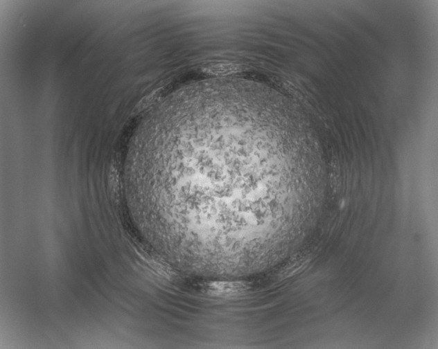X0000054390371200508191945