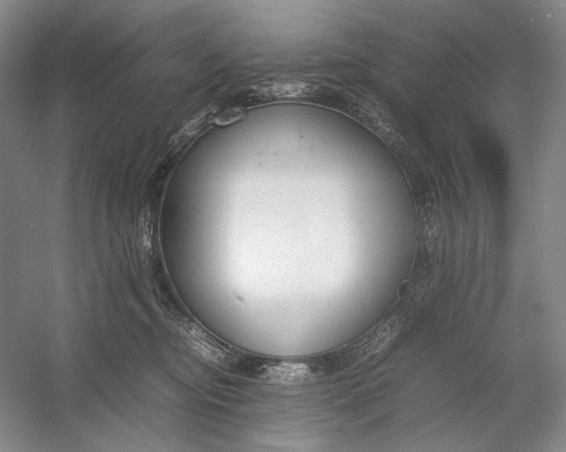 X0000054390374200508191945