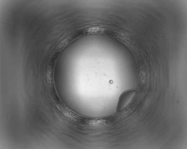 X0000054390375200508191945