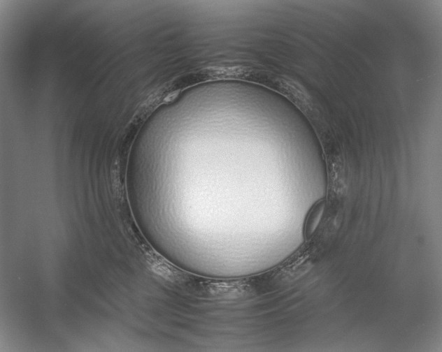 X0000054390377200508191945