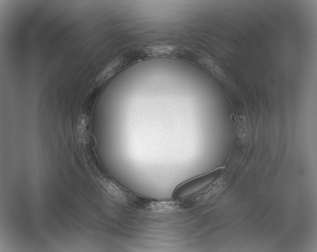 X0000054390378200508191945