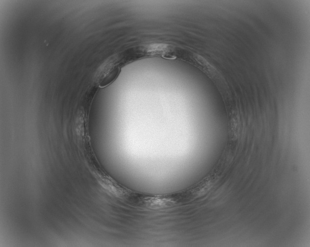 X0000054390379200508191945