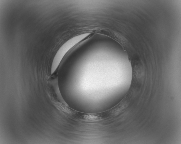 X0000054390380200508191945