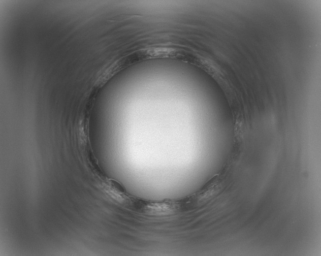 X0000054390381200508191945