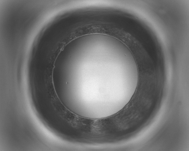 X0000054390382200508191945