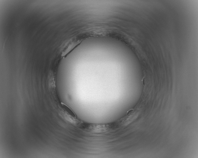 X0000054390384200508191945