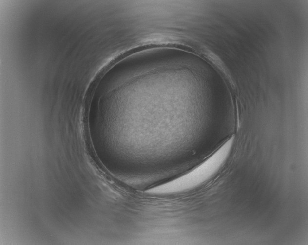 X0000054390387200508191944