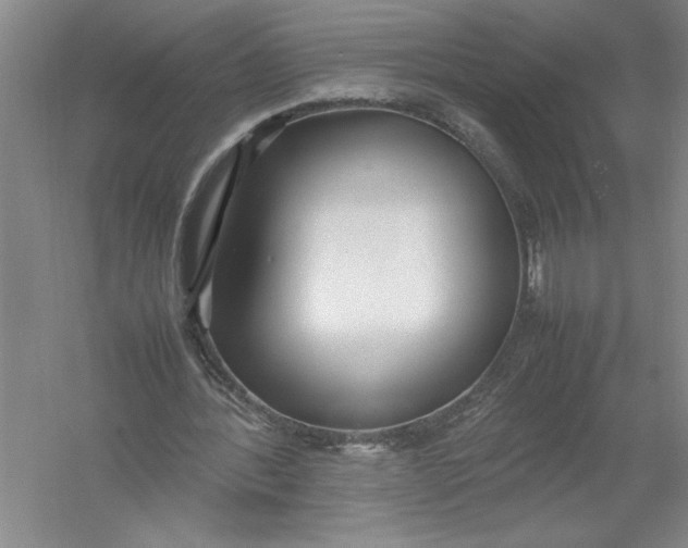 X0000054390388200508191944