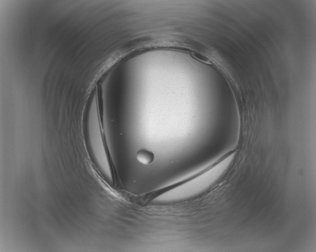 X0000054390389200508191944