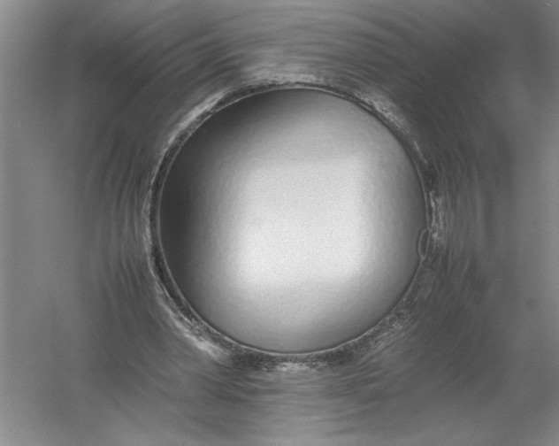 X0000054390390200508191944