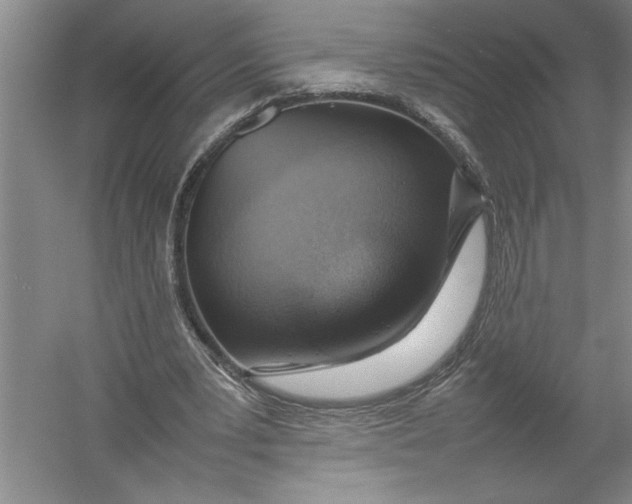 X0000054390391200508191944