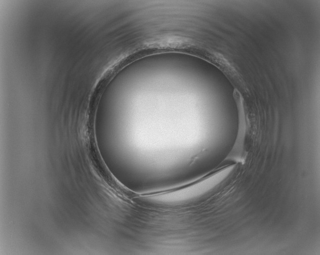 X0000054390392200508191944