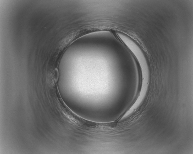 X0000054390393200508191944